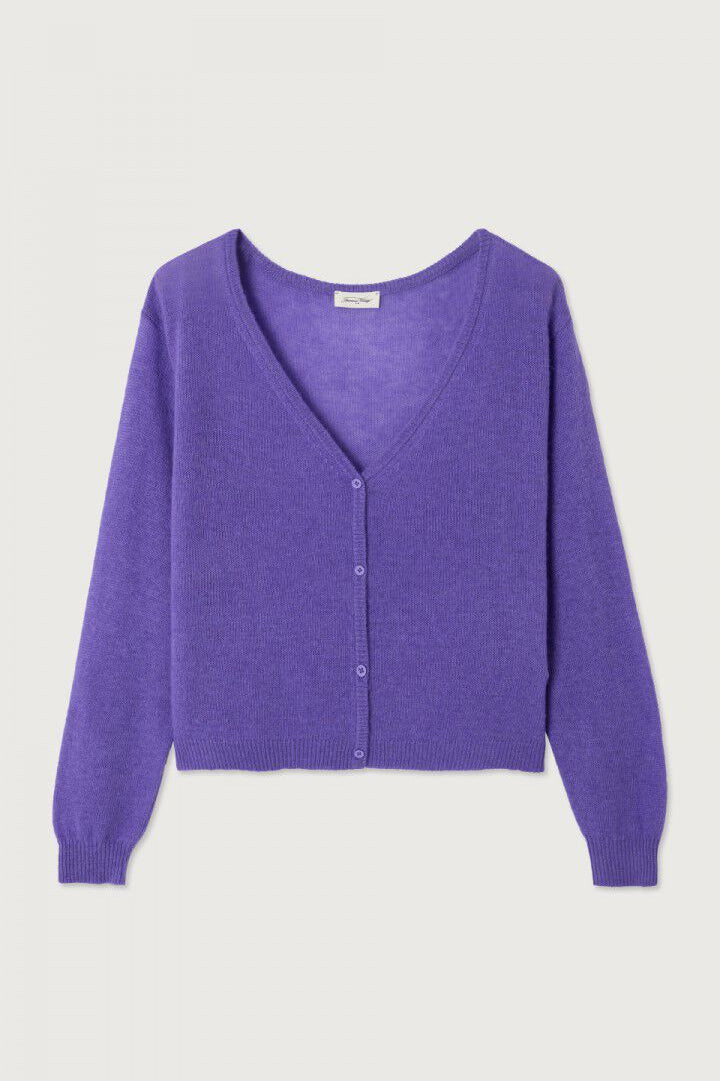 AMERICAN VINTAGE Gilet - Gris/Purple